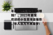 年前做什么小生意最赚钱？，2023年最受欢迎的小生意项目推荐，年入百万不再是梦！