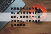 西藏林芝小生意创业指南，如何选择合适的小项目，西藏林芝小生意创业指南，选对项目助你成功发展