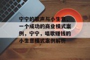 宁宁的歌声与小生意，一个成功的商业模式案例，宁宁，唱歌赚钱的小生意模式案例解析