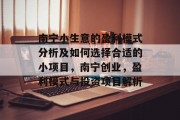南宁小生意的盈利模式分析及如何选择合适的小项目，南宁创业，盈利模式与投资项目解析