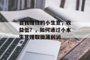 自我赚钱的小生意，收益低？，如何通过小本生意赚取微薄利润