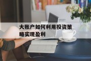 大账户如何利用投资策略实现盈利