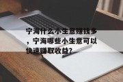 宁海什么小生意赚钱多，宁海哪些小生意可以快速赚取收益？