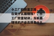 小工厂的致富之路，现在做什么最赚钱？，小工厂致富秘诀，当前最赚钱的产业选择是什么？