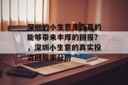 深圳的小生意是否真的能够带来丰厚的回报？，深圳小生意的真实投资回报率分析