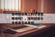 深圳创业路上的小生意赚钱吗？，深圳创业小生意是否能盈利