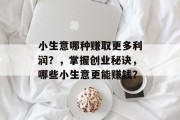 小生意哪种赚取更多利润？，掌握创业秘诀，哪些小生意更能赚钱？