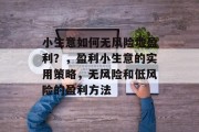小生意如何无风险地盈利？，盈利小生意的实用策略，无风险和低风险的盈利方法
