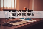 西昌做小生意赚钱吗？，西昌小生意盈利机会分析