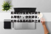 后期的小生意可以做什么赚钱？，创业建议，后期小生意的盈利之道