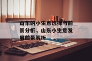 山东的小生意选择与前景分析，山东小生意发展前景解析