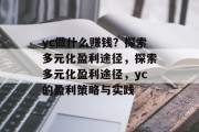 yc做什么赚钱？探索多元化盈利途径，探索多元化盈利途径，yc的盈利策略与实践