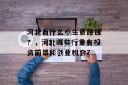 河北有什么小生意赚钱？，河北哪些行业有投资前景和创业机会？