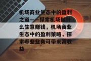 机场商业生态中的盈利之道——探索机场做什么生意赚钱，机场商业生态中的盈利策略，探索哪些业务可带来高收益