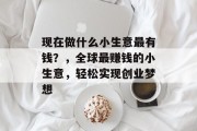 现在做什么小生意最有钱？，全球最赚钱的小生意，轻松实现创业梦想