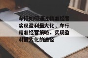 车行如何通过精准经营实现盈利最大化，车行精准经营策略，实现盈利最大化的途径