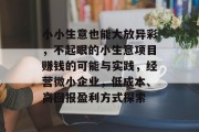 小小生意也能大放异彩，不起眼的小生意项目赚钱的可能与实践，经营微小企业，低成本、高回报盈利方式探索