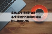 实体小生意赚钱吗？，小生意创业盈利的可能性与策略分析
