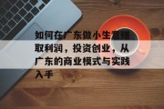 如何在广东做小生意赚取利润，投资创业，从广东的商业模式与实践入手