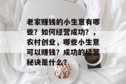 老家赚钱的小生意有哪些？如何经营成功？，农村创业，哪些小生意可以赚钱？成功的经营秘诀是什么？