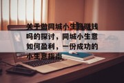 关于做同城小生意赚钱吗的探讨，同城小生意如何盈利，一份成功的小生意指南