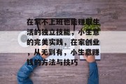 在家不上班也能赚取生活的独立技能，小生意的完美实践，在家创业，从无到有，小生意赚钱的方法与技巧