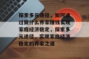 探索多元途径，如何通过做什么养家赚钱实现家庭经济稳定，探索多元途径，实现家庭经济稳定的养家之道