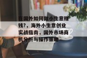 在国外如何做小生意赚钱?，海外小生意创业实战指南，国外市场商机分析与操作策略