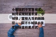 小城镇的小生意模式，如何实现财富积累，小城镇，富裕人生的新路径——探讨小城镇小生意的财富积累方式