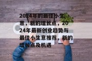 2024年的最佳小生意，新的增长点，2024年最新创业趋势与最佳小生意推荐，新的增长点及机遇