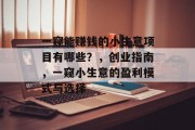 一窥能赚钱的小生意项目有哪些？，创业指南，一窥小生意的盈利模式与选择