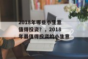 2018年哪些小生意值得投资？，2018年最值得投资的小生意