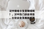 汉中做啥小生意赚钱呢？，汉中热门创业项目，小型企业发展新机遇