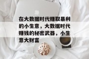 在大数据时代赚取暴利的小生意，大数据时代赚钱的秘密武器，小生意大财富