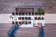 来海南做小生意赚钱吗？，探索海南，投资小生意如何盈利