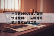小生意创业项目，如何快速盈利？，从零开始的小生意盈利之路