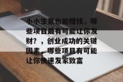 小小生意也能赚钱，哪些项目最有可能让你发财？，创业成功的关键因素，哪些项目有可能让你快速发家致富