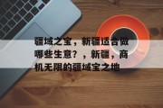疆域之宝，新疆适合做哪些生意？，新疆，商机无限的疆域宝之地