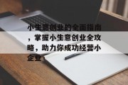 小生意创业的全面指南，掌握小生意创业全攻略，助力你成功经营小企业