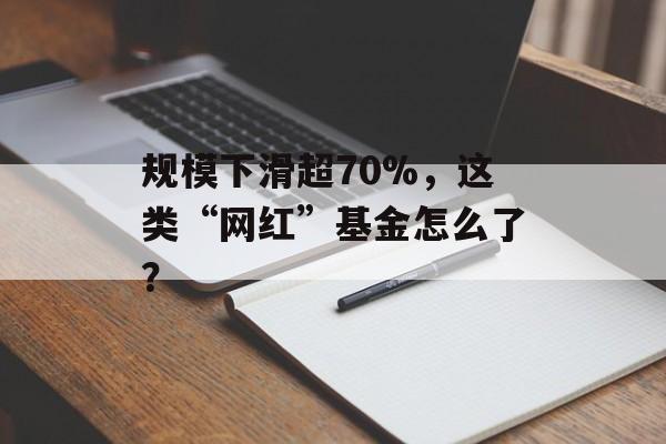 规模下滑超70%，这类“网红”基金怎么了？