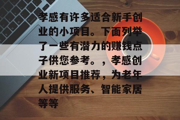 孝感有许多适合新手创业的小项目。下面列举了一些有潜力的赚钱点子供您参考。，孝感创业新项目推荐，为老年人提供服务、智能家居等等