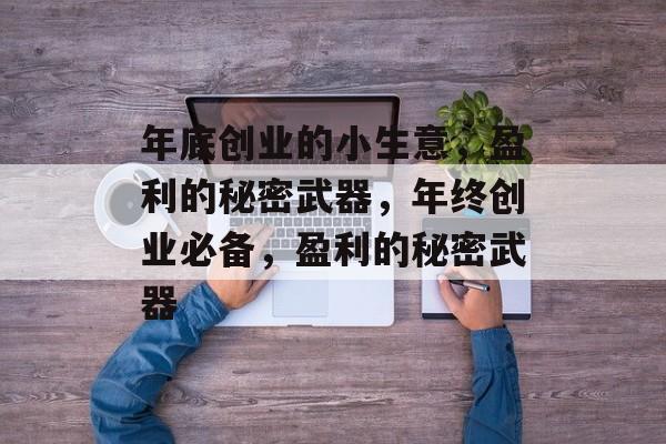 年底创业的小生意，盈利的秘密武器，年终创业必备，盈利的秘密武器