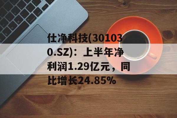 仕净科技(301030.SZ)：上半年净利润1.29亿元，同比增长24.85%