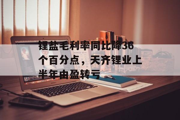 锂盐毛利率同比降36个百分点，天齐锂业上半年由盈转亏